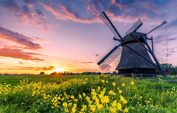 Nederlands landschap, Friesland door larskuse (bron: shutterstock.com)