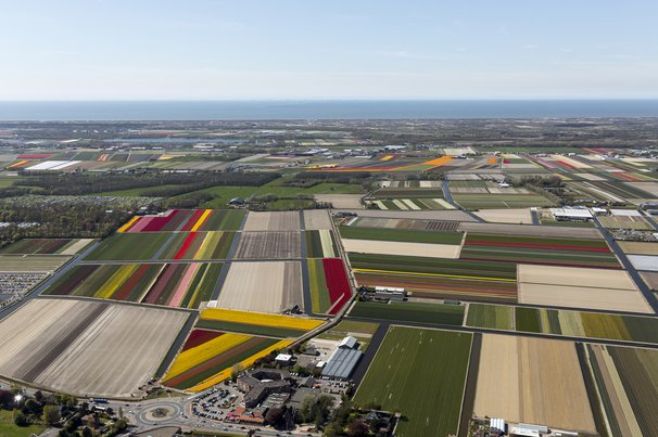 Luchtfoto van Nederlands landschap door Aerovista Luchtfotografie (bron: Shutterstock)