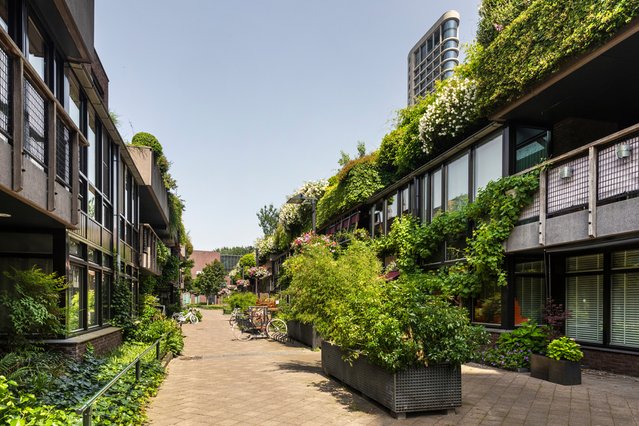 Groene straat in Eindhoven door Lea Rae (bron: Shutterstock)