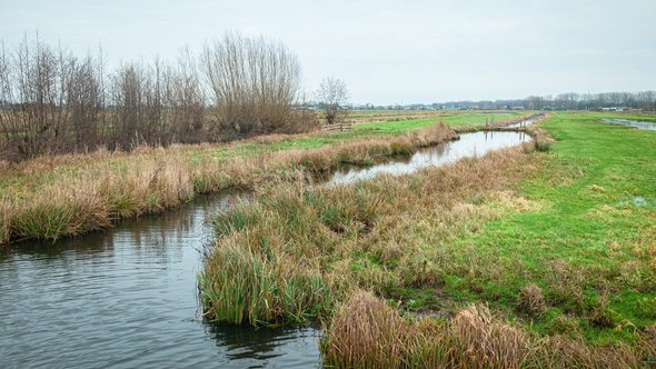 Bloemendaal polder, Gouda door Menno van der Haven (bron: Shutterstock)